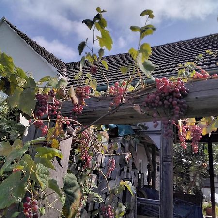Gemuetlichkeit Am Vierkanthof - Apartment 2 Worterberg Экстерьер фото